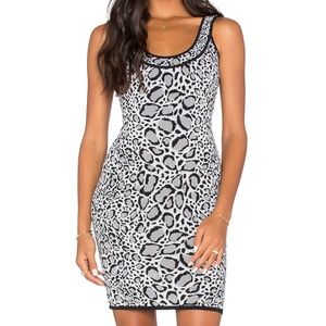 BCBG Knit Bodycon Dress Leopard Print